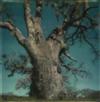 ADAMS, ANSEL (1902-1984) Group of 4 color studies of trees.